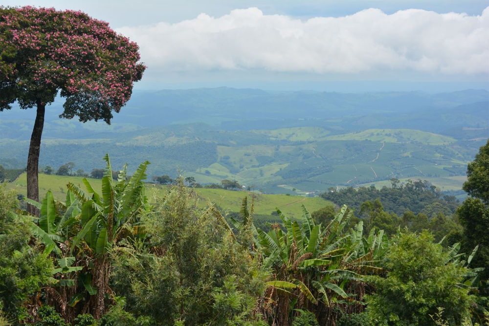 Fazenda Ambiental Fortaleza.