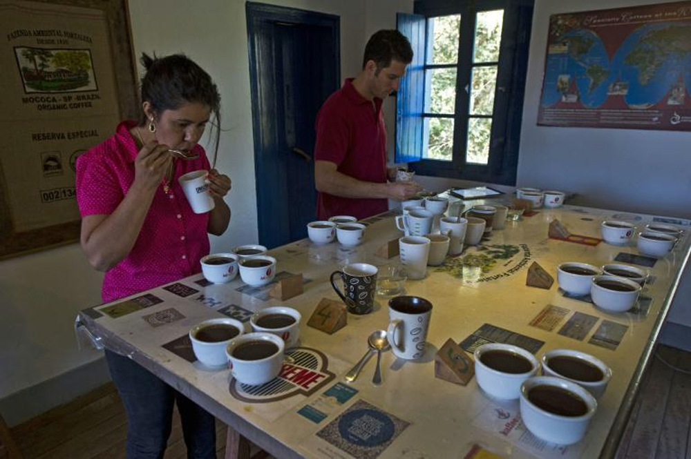 Des goûteurs de café á  la 