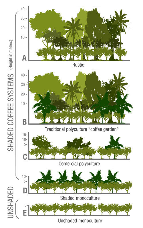 Adapted from Moguel, P., and Toledo, V.M. (1999).